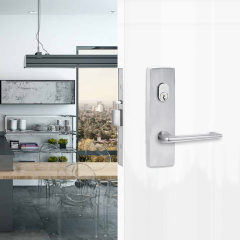 1801 SQUARE END PLATE WITH CYLINDER HOLE & 132 LEVER Polished Brass