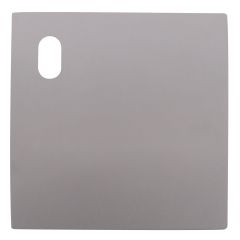 200 EXTERIOR PLATE WITH CYLINDER HOLE LH Polished Stainless Steel