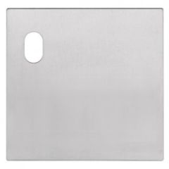 200 EXTERIOR PLATE WITH CYLINDER HOLE LH Polished Brass
