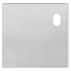 200 EXTERIOR PLATE WITH CYLINDER HOLE RH Marine Grade