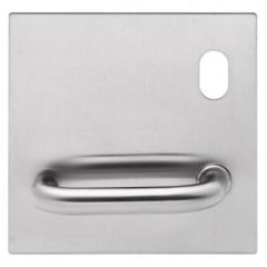200 EXTERIOR PLATE WITH CYLINDER HOLE & 96 LEVER RH Marine Grade