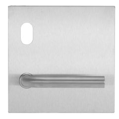 200 EXTERIOR PLATE WITH CYLINDER HOLE & 98 LEVER 45 DEG DOWNWARD LH Satin Stainless