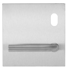 200 EXTERIOR PLATE WITH CYLINDER HOLE & 98 LEVER 45 DEG DOWNWARD RH Satin Stainless