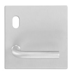 200 EXTERIOR PLATE WITH GUARDED CYL HOLE & 98 LEVER LH Satin Stainless