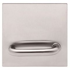 200 EXTERIOR PLATE WITH 96 LEVER RH Natural