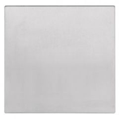 200 EXTERIOR PLATE FEMALE SYMBOL OUTLINE Satin Stainless