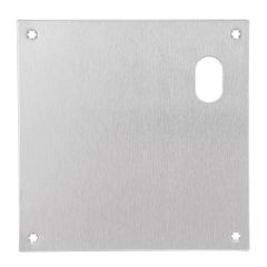 200 EXTERIOR PLATE WITH DUAL CYLINDER HOLES RH Satin Stainless