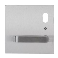 200 EXTERIOR PLATE WITH CYLINDER HOLE & LED & 59 LEVER RH Satin Stainless