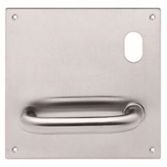 201 INTERIOR PLATE WITH CYLINDER HOLE & 96 LEVER RH Natural