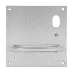 201 INTERIOR PLATE WITH CYLINDER HOLE & LED & 96 LEVER RH Satin Stainless