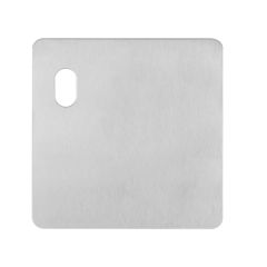 202 EXTERIOR PLATE WITH CYLINDER HOLE LH Satin Stainless