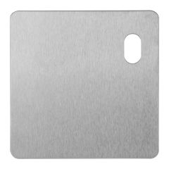 202 EXTERIOR PLATE WITH CYLINDER HOLE RH Satin Stainless