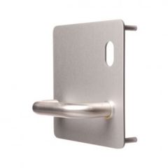 202 EXTERIOR PLATE WITH CYLINDER HOLE & 96 LEVER RH Natural