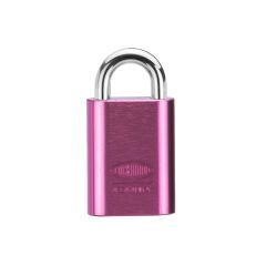 214A 40MM ALUM BODY PADLOCK 19MM S/STEEL 5MM DIA SHACKLE - NO COVER 6RP TP No Finish