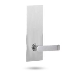 224 EXTERIOR PLATE & 59 LEVER Satin Stainless