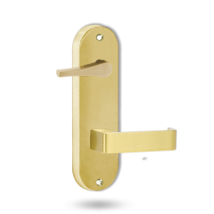 2939 ROUND END PLATE WITH DISABLED TURN & 90 LEVER Polished Brass