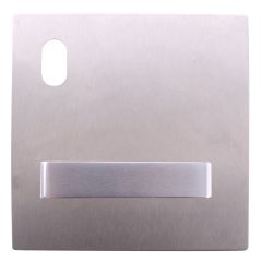 200 EXTERIOR PLATE WITH CYLINDER HOLE & 90 LEVER LH Satin Stainless
